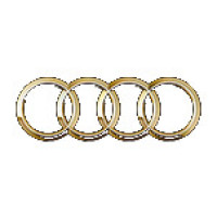 audi1